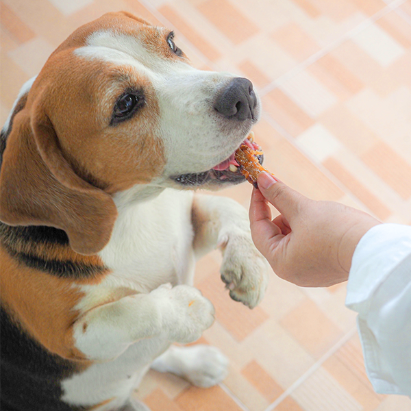 寵物適口劑、甜味劑